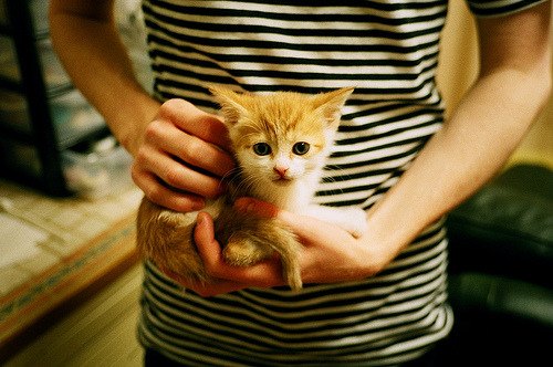 当尼克斯绞杀骑士时,哈利伯顿正在欧冠决赛接管,竞技体育唯一的真理