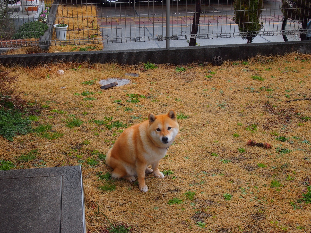 粤刺风云，当广东宏远穿越NBA，克莱的第四定律收割马刺