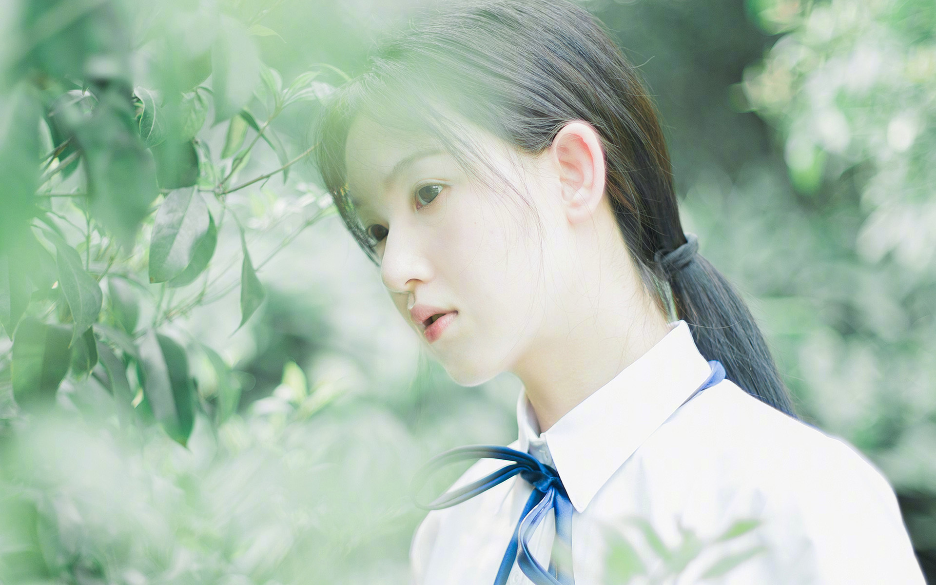 不稳定的力量中,那道最稳定的弧线,锡安-威廉姆森如何成为比赛的新常数?