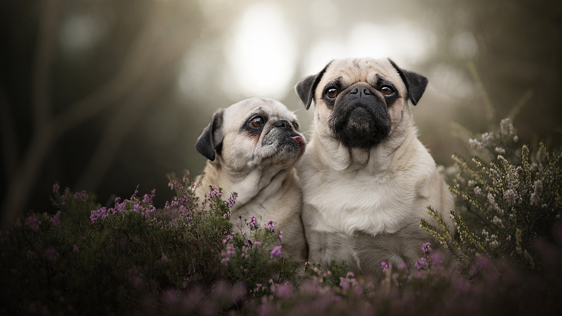 福登独造三球刷新纪录 英格兰青春风暴席卷卡塔尔