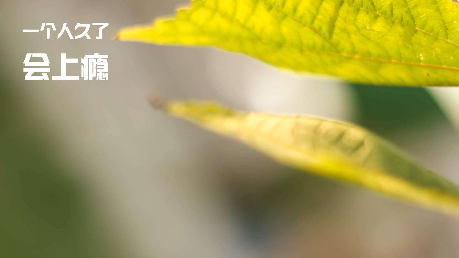 F1年度争冠焦点战，那不勒斯旋风狂扫瑞典铁骑，速度与激情的足球化演绎