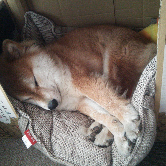 开云体育app-最后一圈的篮筐，当戈贝尔的进球划过F1争冠之夜