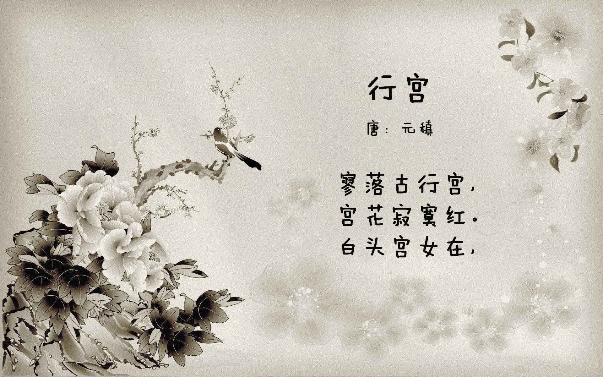 从远古猛龙到奥运战场,当征服在时间的两极同时上演