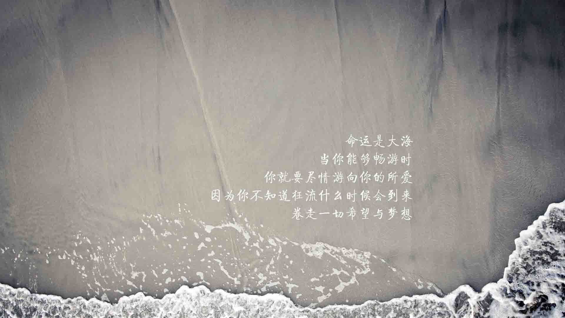 野蛮交响与指尖乐章，当里昂血洗奥地利，蒂亚戈奏响生涯之夜